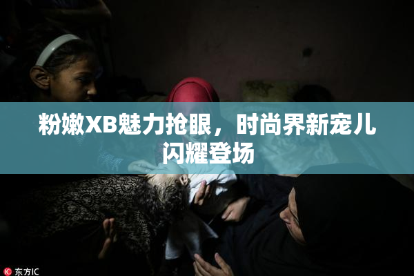 粉嫩XB魅力抢眼，时尚界新宠儿闪耀登场
