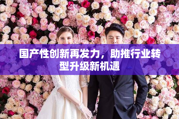 国产性创新再发力，助推行业转型升级新机遇