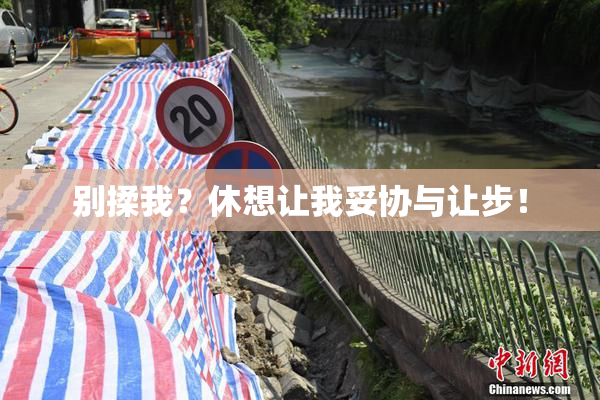 别揉我？休想让我妥协与让步！