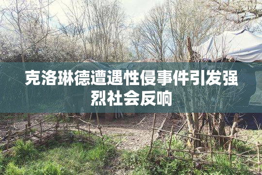 克洛琳德遭遇性侵事件引发强烈社会反响