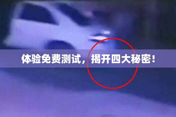 体验免费测试，揭开四大秘密！