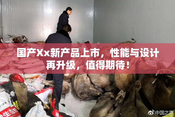 国产Xx新产品上市，性能与设计再升级，值得期待！