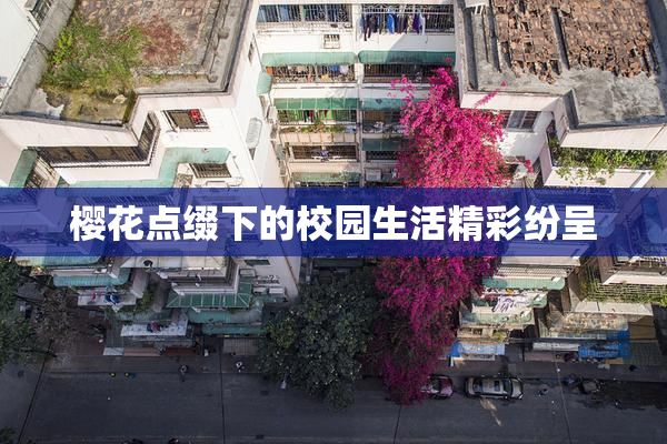 樱花点缀下的校园生活精彩纷呈