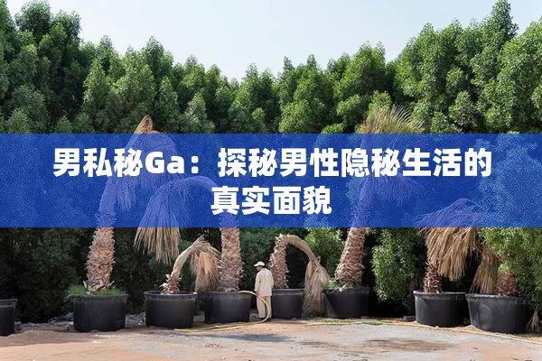 男私秘Ga：探秘男性隐秘生活的真实面貌