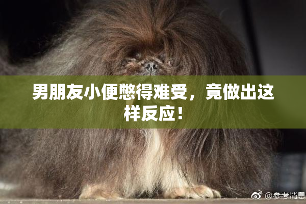 男朋友小便憋得难受，竟做出这样反应！