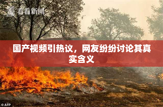 国产视频引热议，网友纷纷讨论其真实含义
