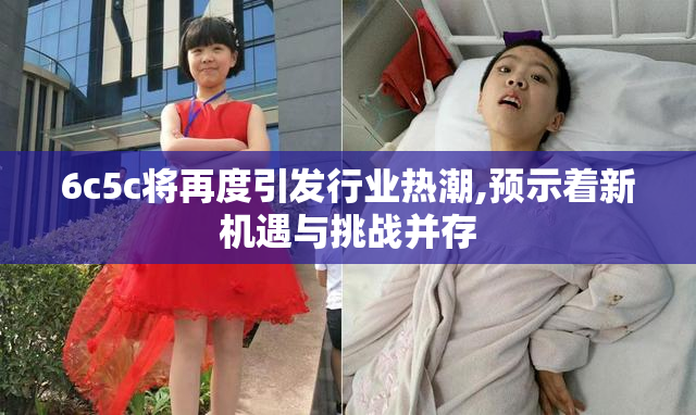 6c5c将再度引发行业热潮,预示着新机遇与挑战并存