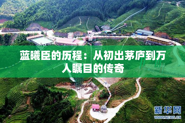 蓝曦臣的历程：从初出茅庐到万人瞩目的传奇