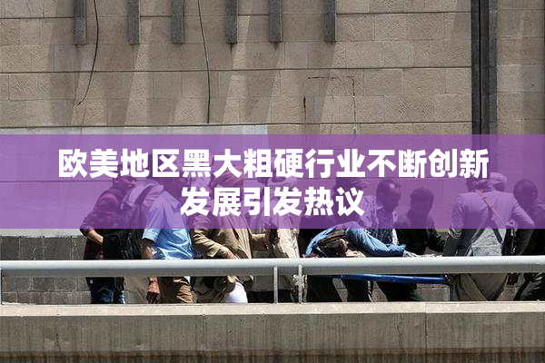 欧美地区黑大粗硬行业不断创新发展引发热议