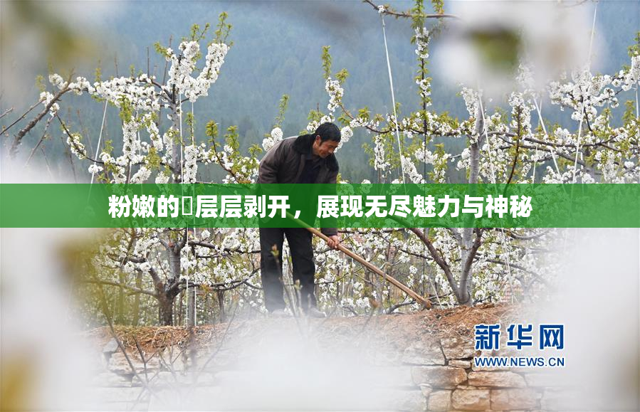 粉嫩的泬层层剥开，展现无尽魅力与神秘