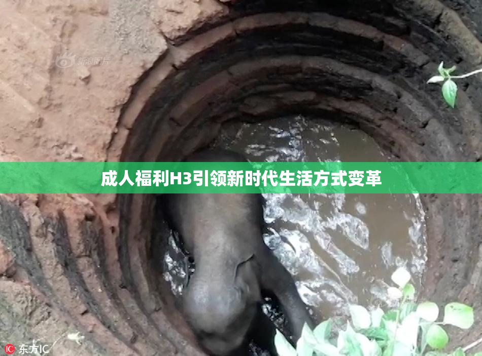 成人福利H3引领新时代生活方式变革