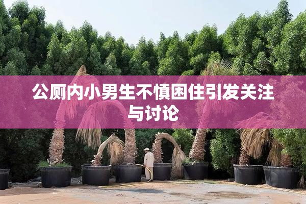 公厕内小男生不慎困住引发关注与讨论