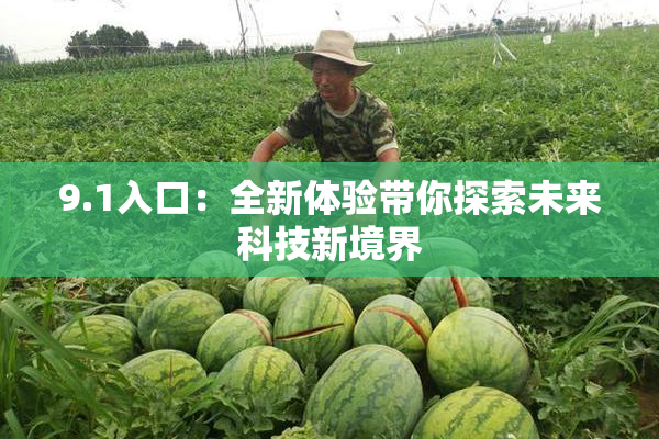 9.1入口：全新体验带你探索未来科技新境界