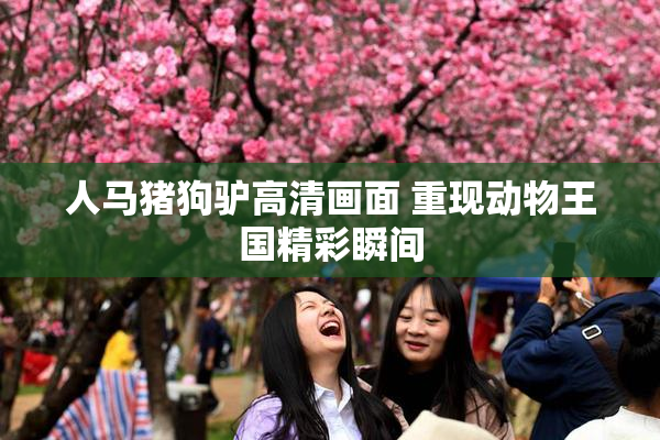 人马猪狗驴高清画面 重现动物王国精彩瞬间