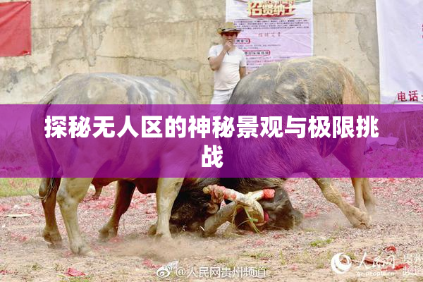 探秘无人区的神秘景观与极限挑战