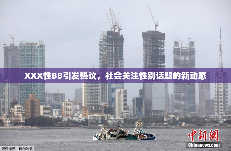 XXX性BB引发热议，社会关注性别话题的新动态