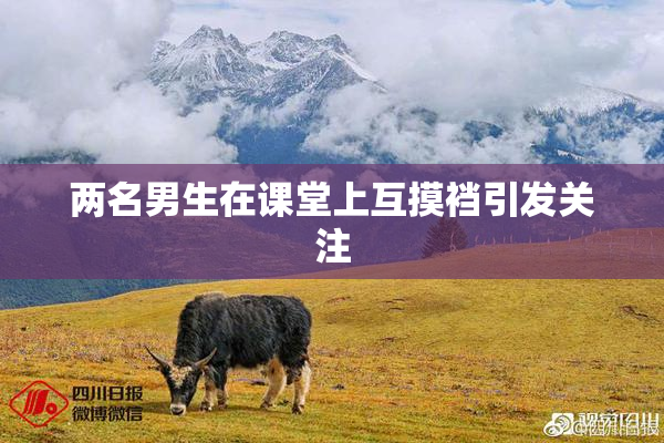 两名男生在课堂上互摸裆引发关注