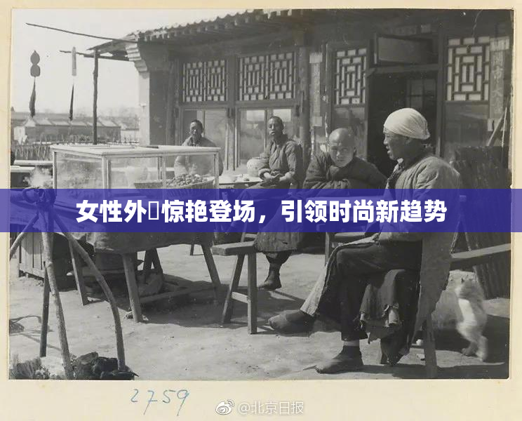 女性外夝惊艳登场，引领时尚新趋势