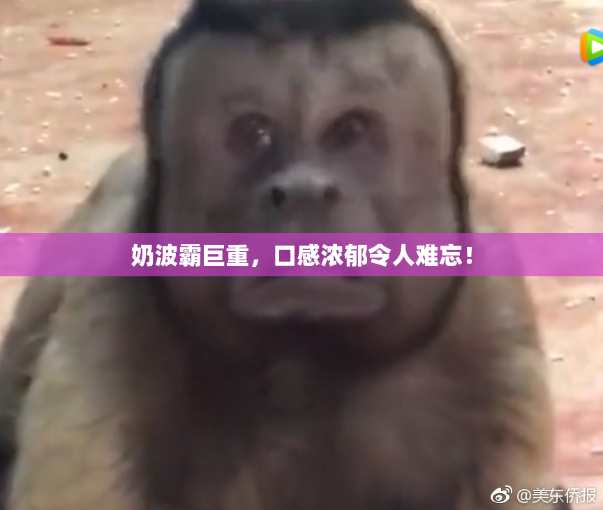 奶波霸巨重，口感浓郁令人难忘！