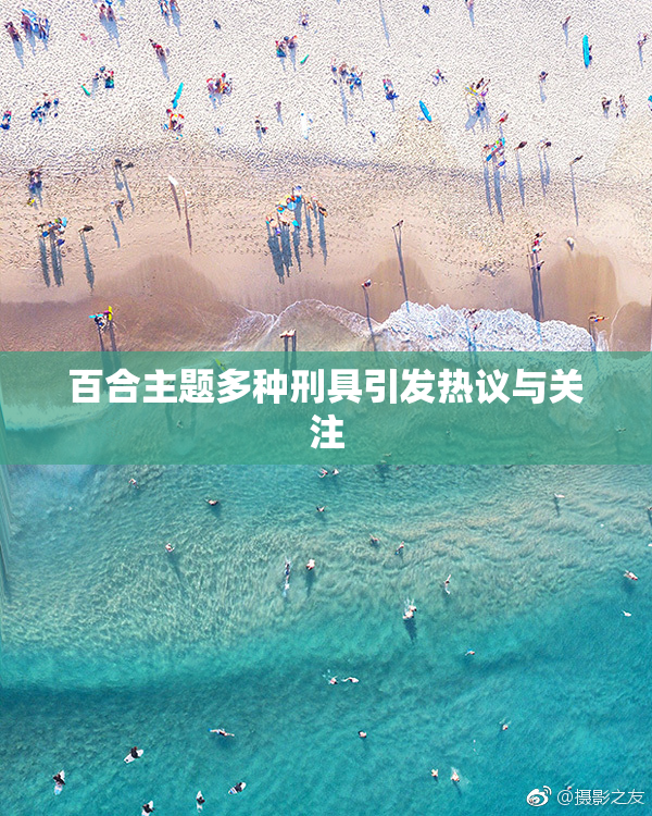 百合主题多种刑具引发热议与关注