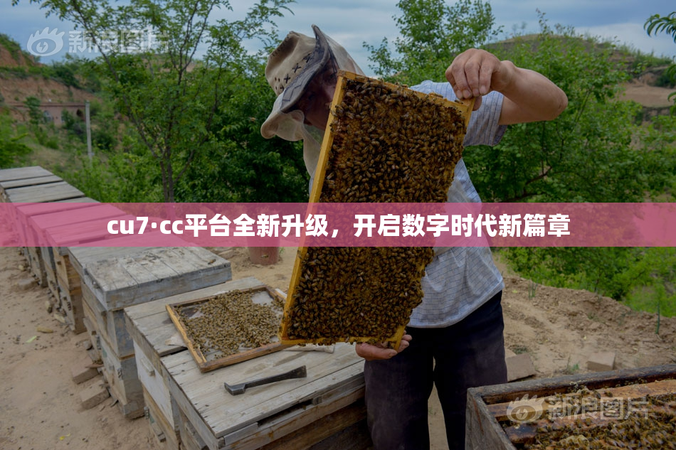 cu7·cc平台全新升级，开启数字时代新篇章