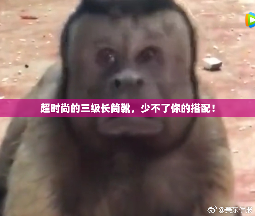 超时尚的三级长筒靴，少不了你的搭配！