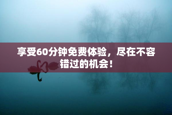 享受60分钟免费体验，尽在不容错过的机会！