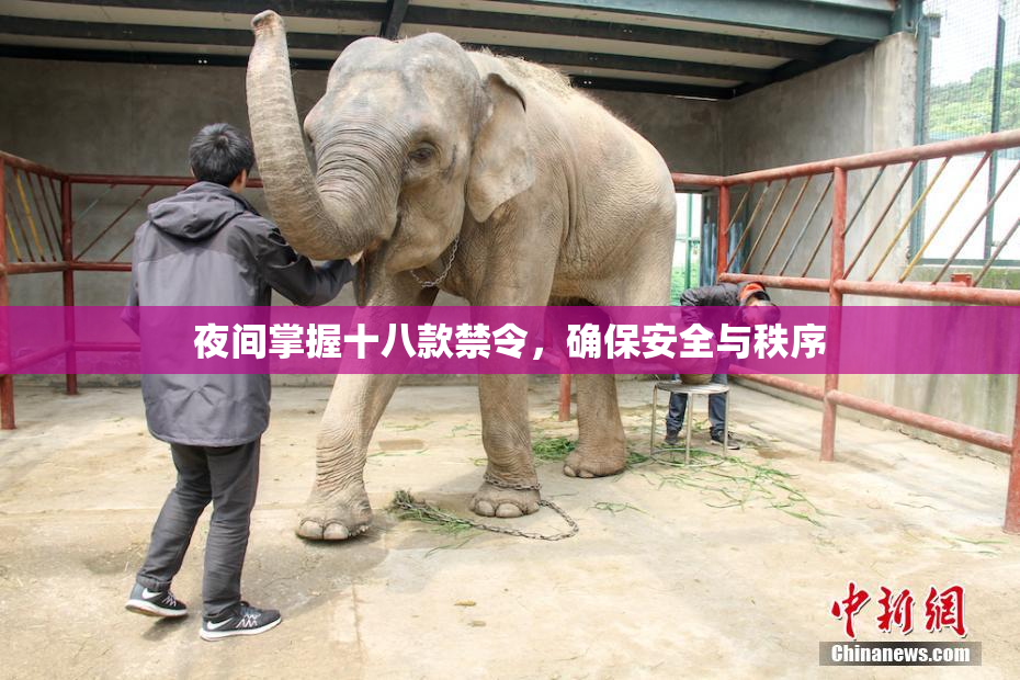 夜间掌握十八款禁令，确保安全与秩序