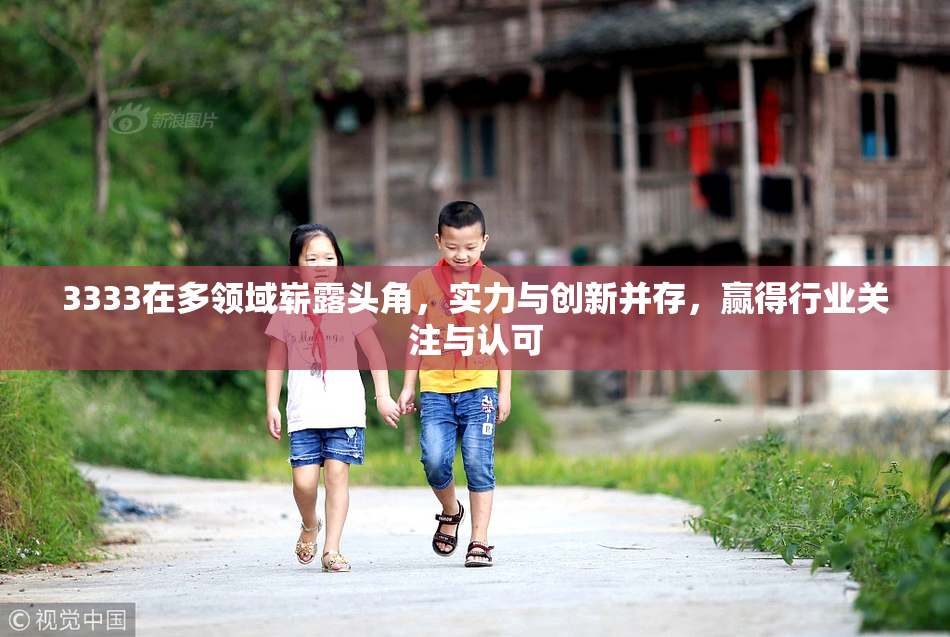 3333在多领域崭露头角，实力与创新并存，赢得行业关注与认可