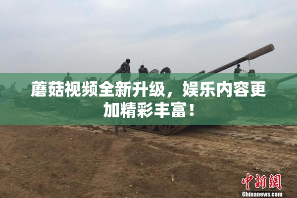 蘑菇视频全新升级，娱乐内容更加精彩丰富！