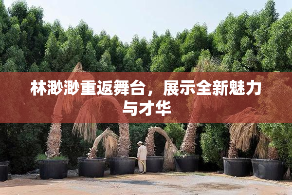 林渺渺重返舞台，展示全新魅力与才华