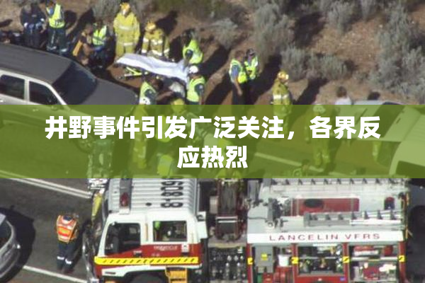 井野事件引发广泛关注，各界反应热烈