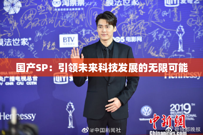 国产SP：引领未来科技发展的无限可能