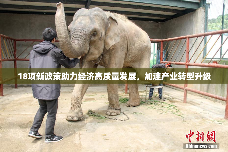 18项新政策助力经济高质量发展，加速产业转型升级