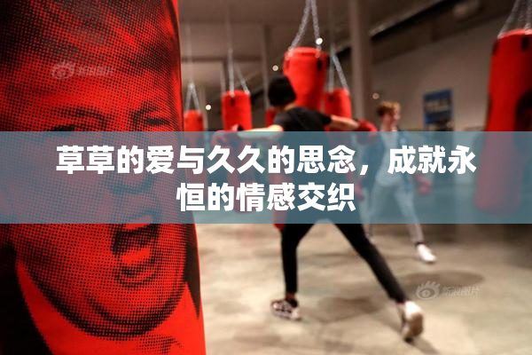 草草的爱与久久的思念，成就永恒的情感交织