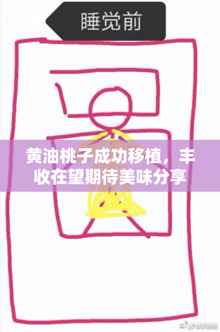 黄油桃子成功移植，丰收在望期待美味分享