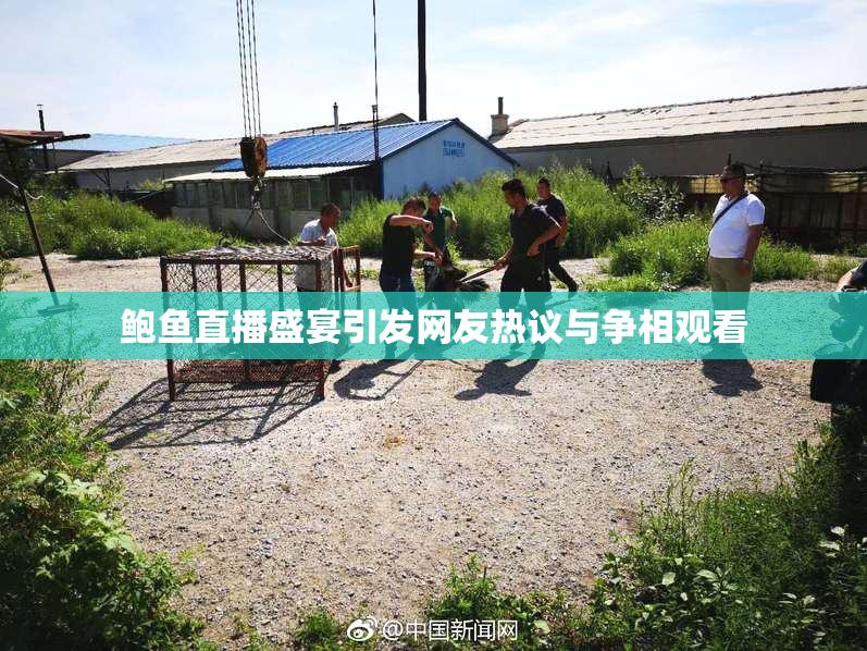 鲍鱼直播盛宴引发网友热议与争相观看