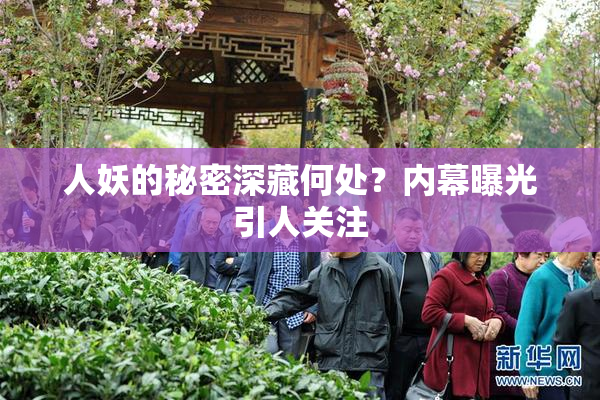 人妖的秘密深藏何处？内幕曝光引人关注