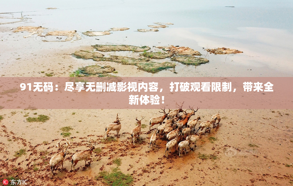 91无码：尽享无删减影视内容，打破观看限制，带来全新体验！