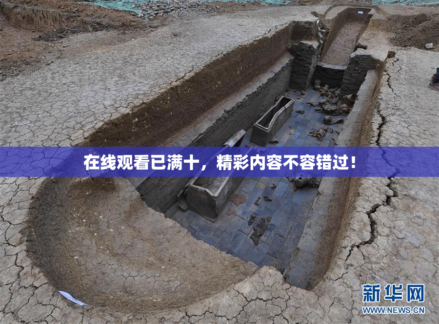在线观看已满十，精彩内容不容错过！