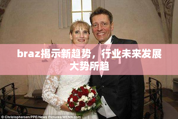 braz揭示新趋势，行业未来发展大势所趋