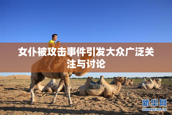 女仆被攻击事件引发大众广泛关注与讨论