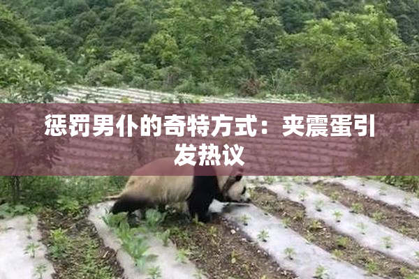 惩罚男仆的奇特方式：夹震蛋引发热议