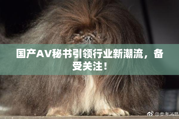 国产AV秘书引领行业新潮流，备受关注！
