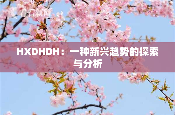 HXDHDH：一种新兴趋势的探索与分析