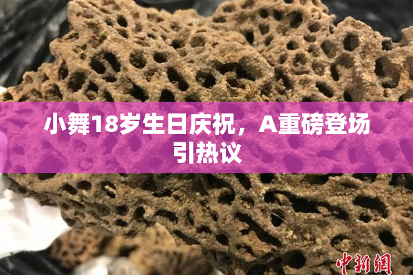 小舞18岁生日庆祝，A重磅登场引热议
