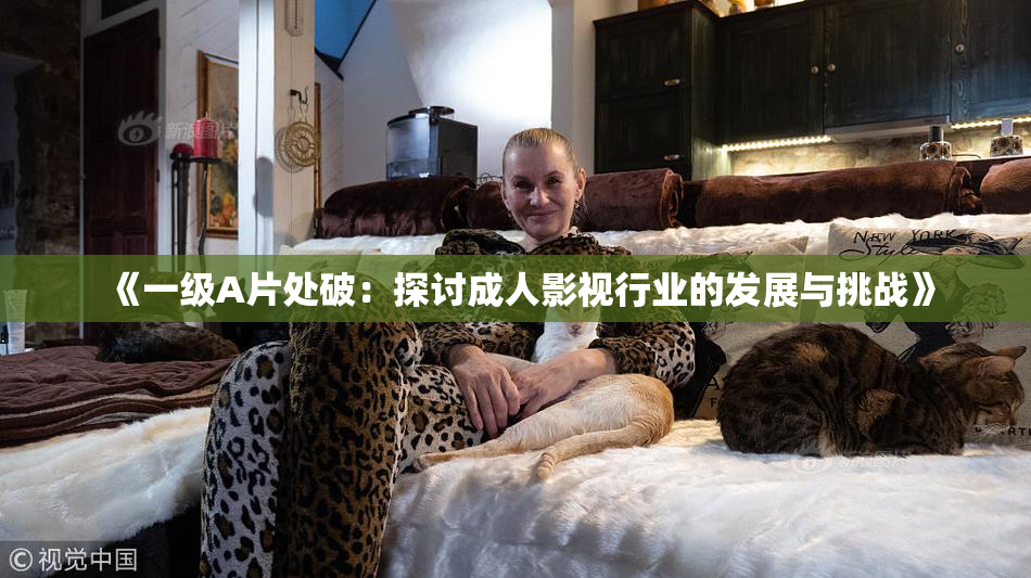 《一级A片处破：探讨成人影视行业的发展与挑战》