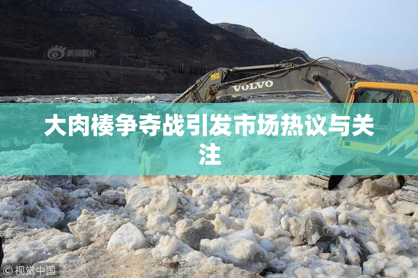 大肉楱争夺战引发市场热议与关注