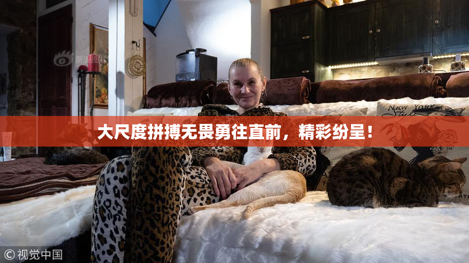 大尺度拼搏无畏勇往直前，精彩纷呈！
