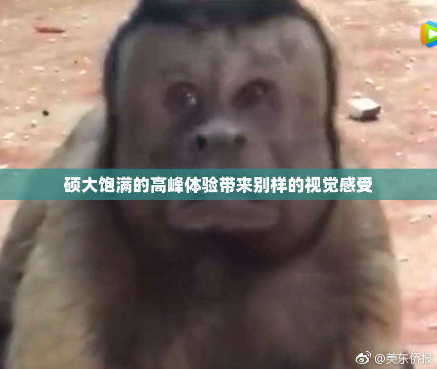 硕大饱满的高峰体验带来别样的视觉感受